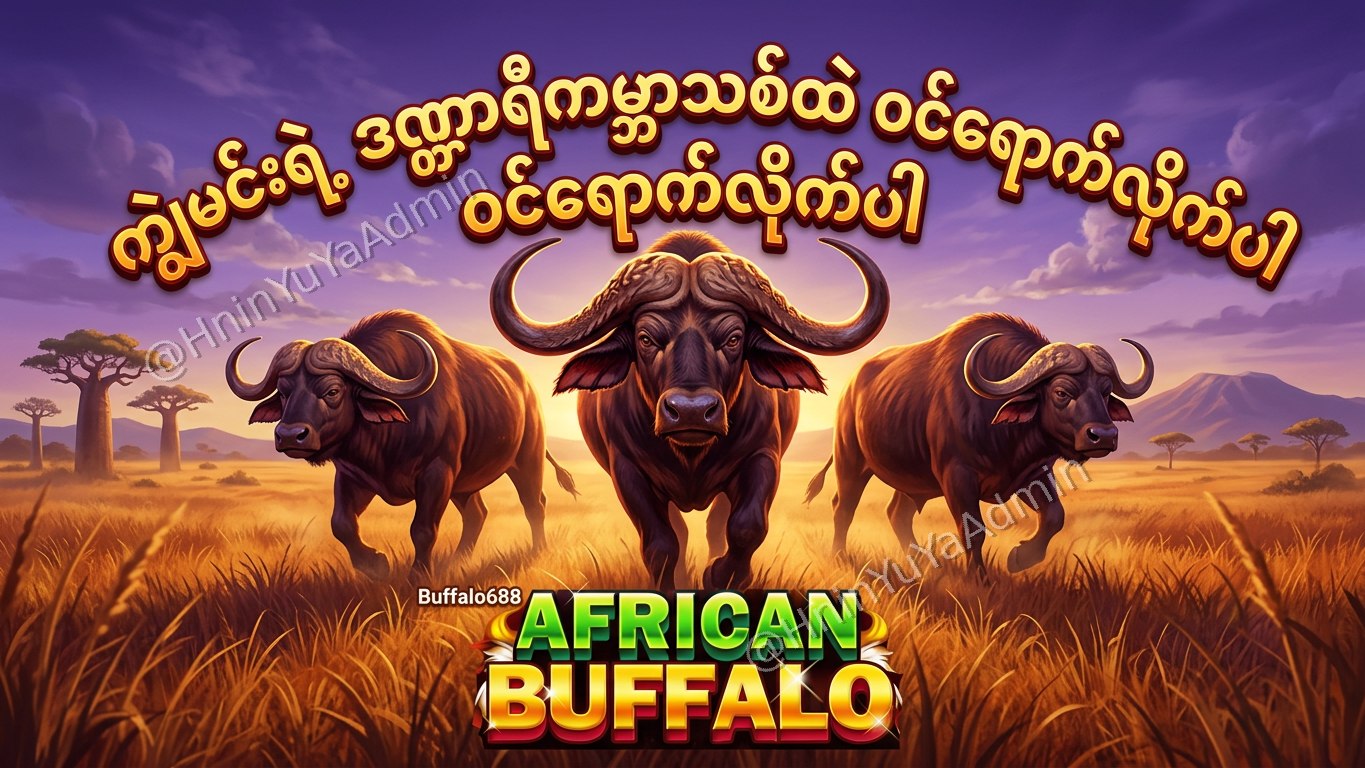 ကျွဲဂိမ်းအစစ် Buffalo688 ၊ကျွဲဘုရင် ၊ရှမ်းကိုးမီး၊ဘူကြီး
