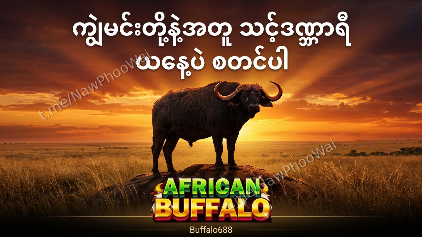⏰ ကျွဲဂိမ်း - နော်ဖူးဝေ 24 နာရီဝန်ဆောင်မှု