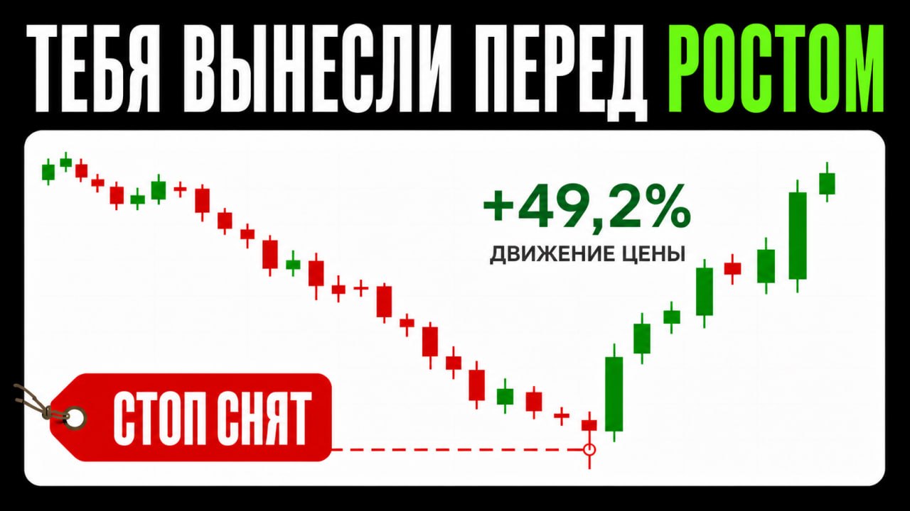 Protocol REKT / Николай Черный