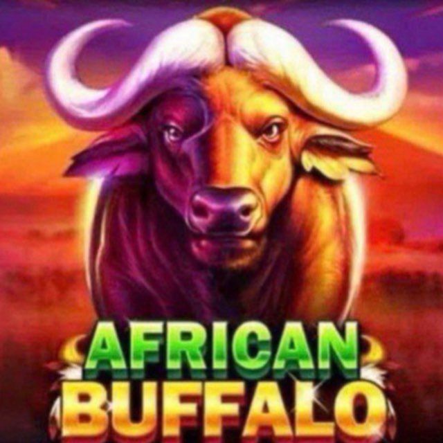 @buffa688