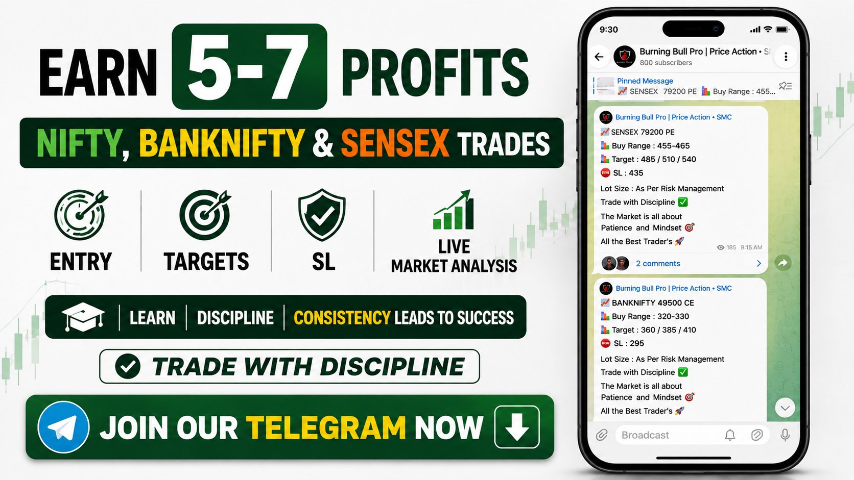 Buming Bull Pro | Price Action Β· Stock Price Summary Daily