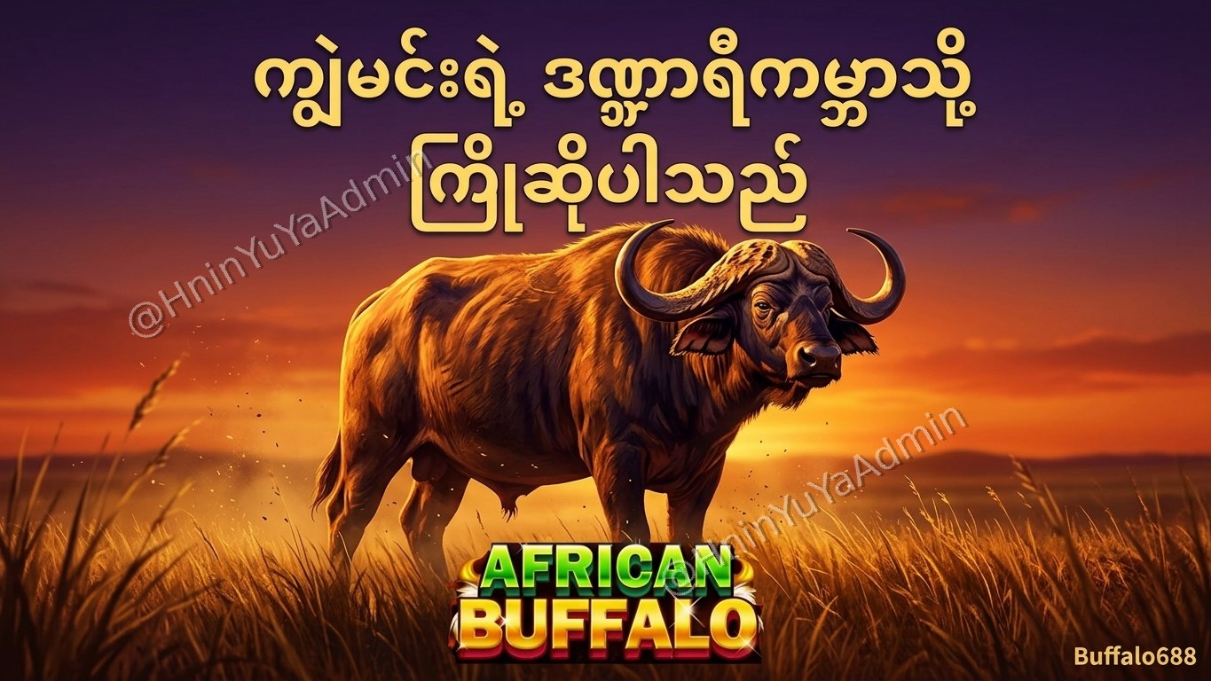 ကျွဲဂိမ်းအစစ် Buffalo688 ၊ကျွဲဘုရင် ၊ရှမ်းကိုးမီး၊ဘူကြီး