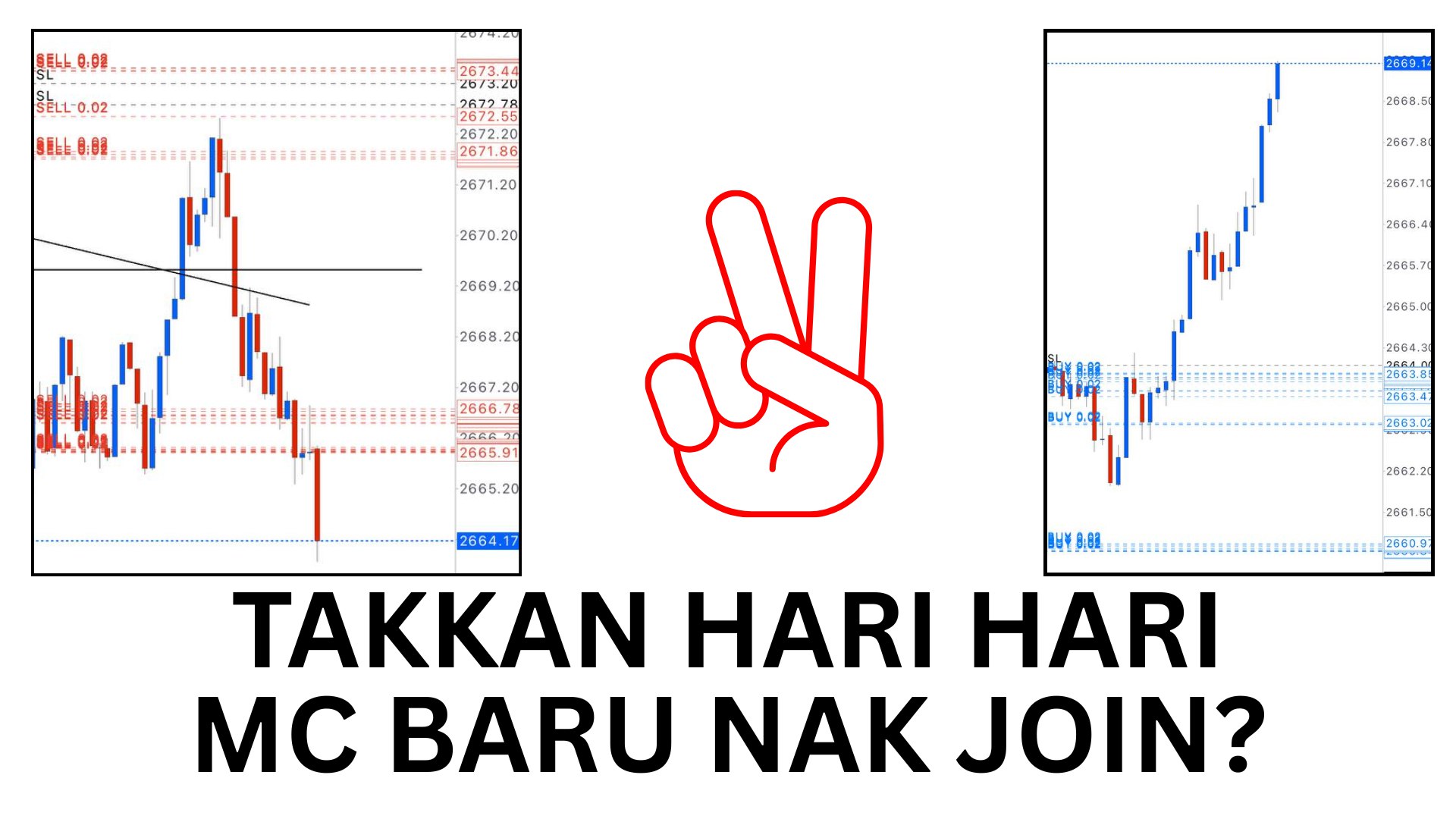 Along Gold Scalper