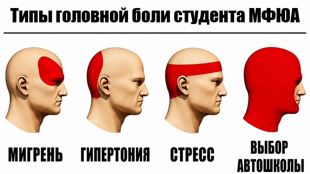 Автошкола для студентов МФЮА