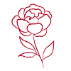 🌷