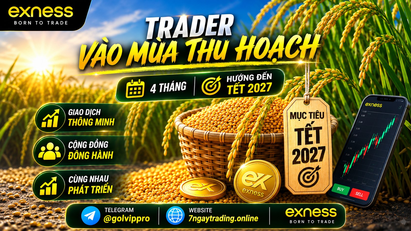 Nội Trợ Trading