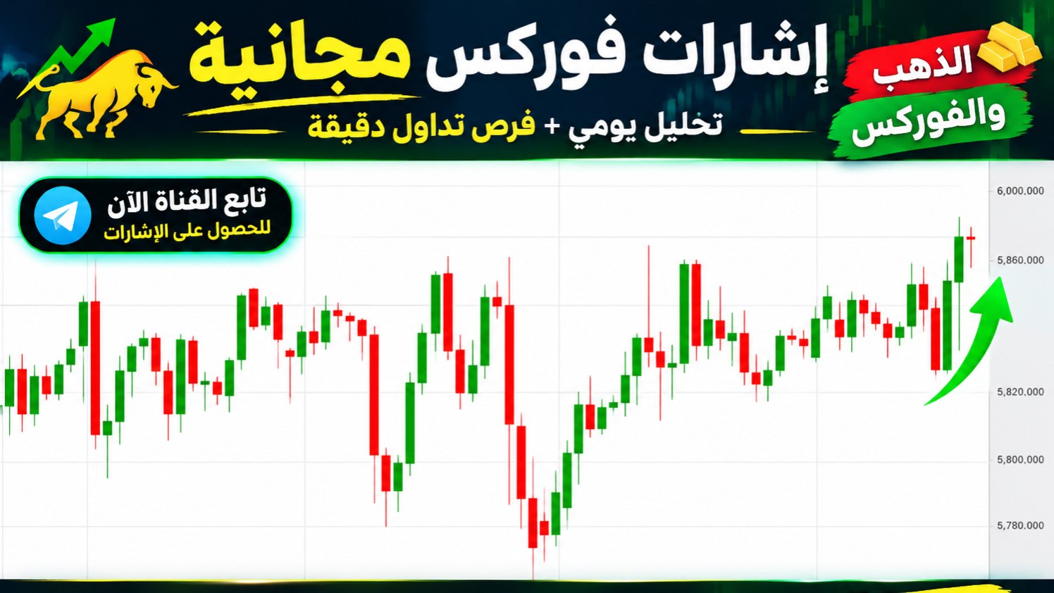 DAILY FOREX SIGNALS