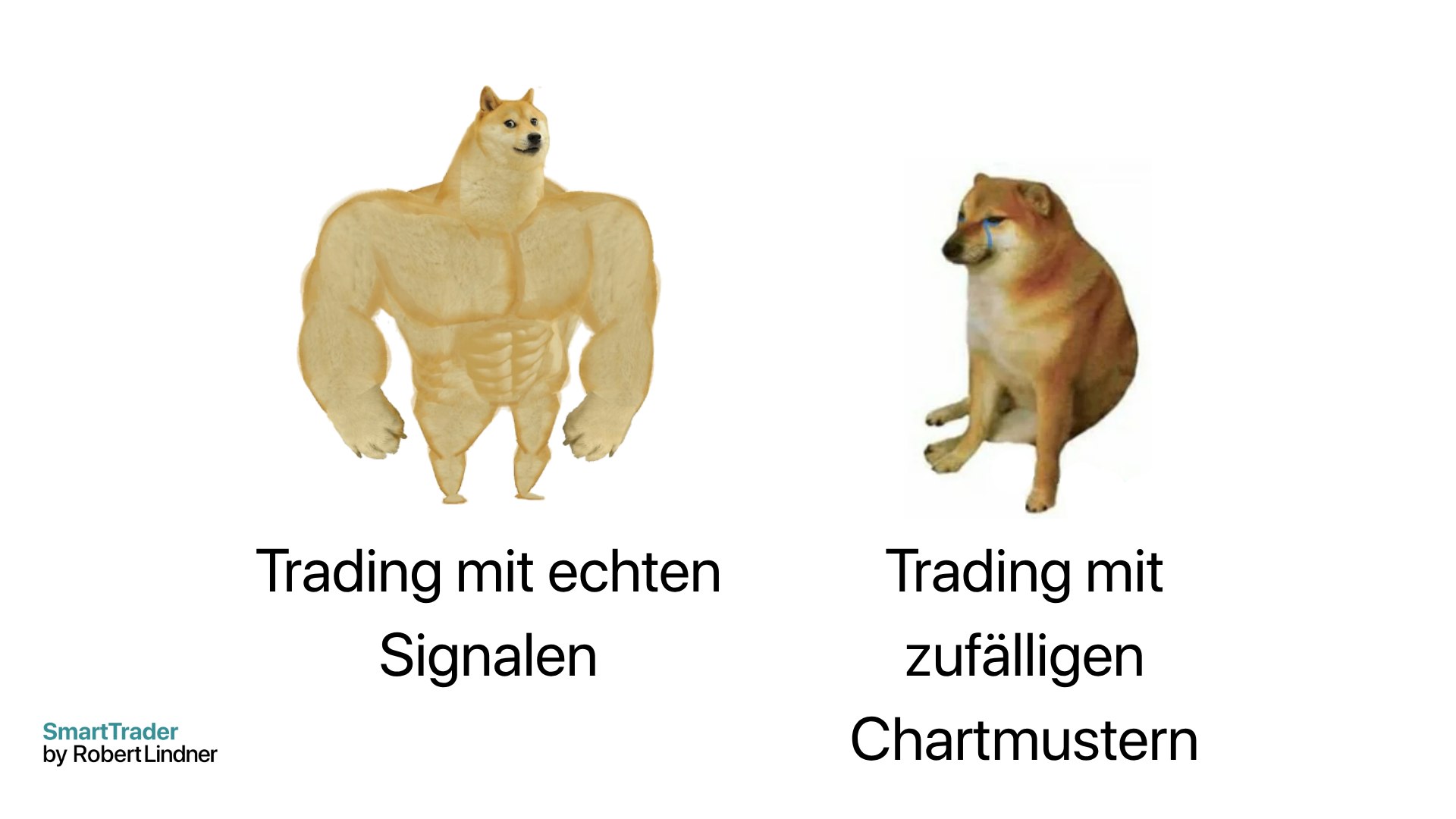 🇩🇪 SmartTrader TRIAL - Fundamentale Markt-Analyse & Research
