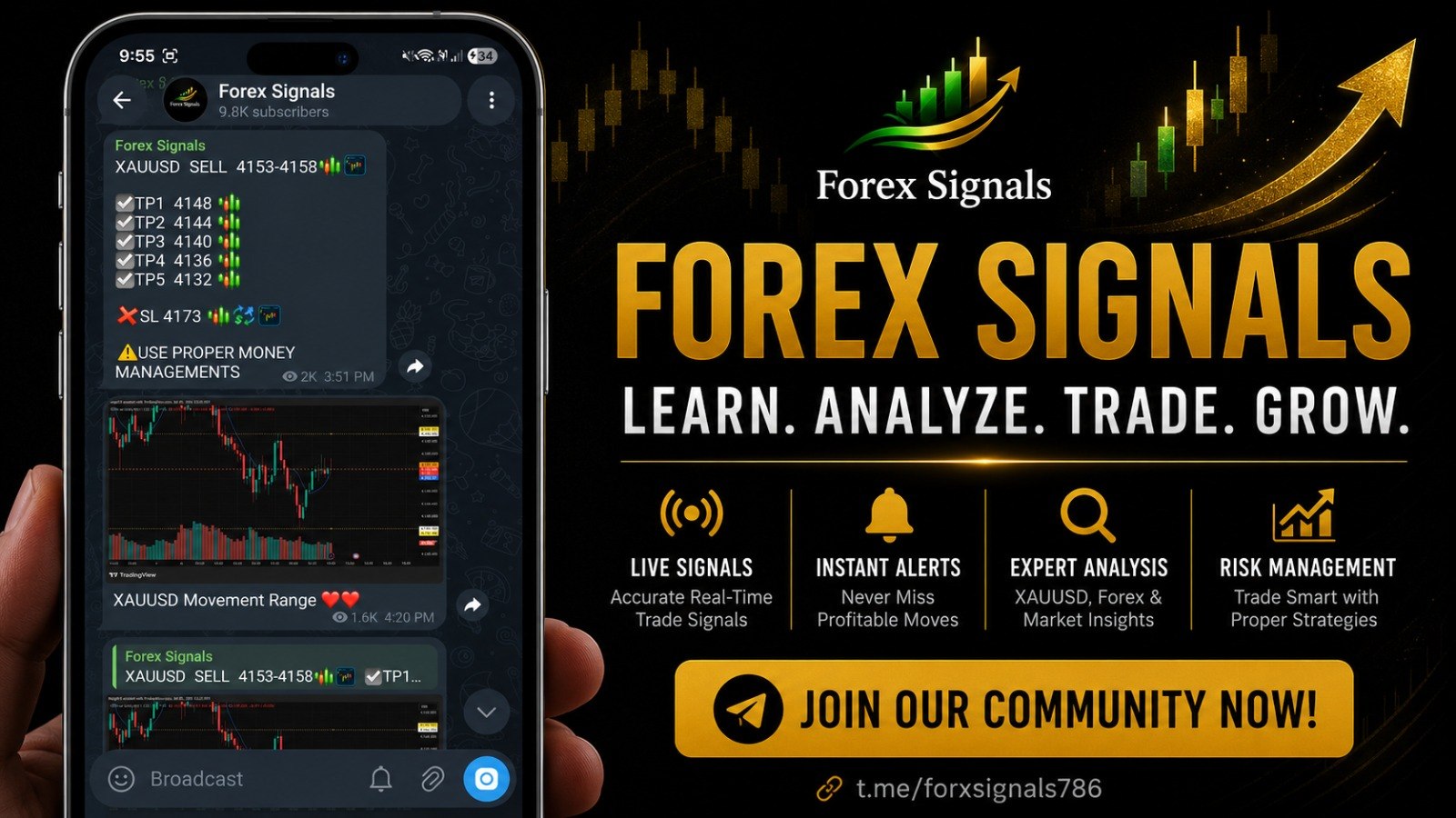 GOLD SIGNAL FX