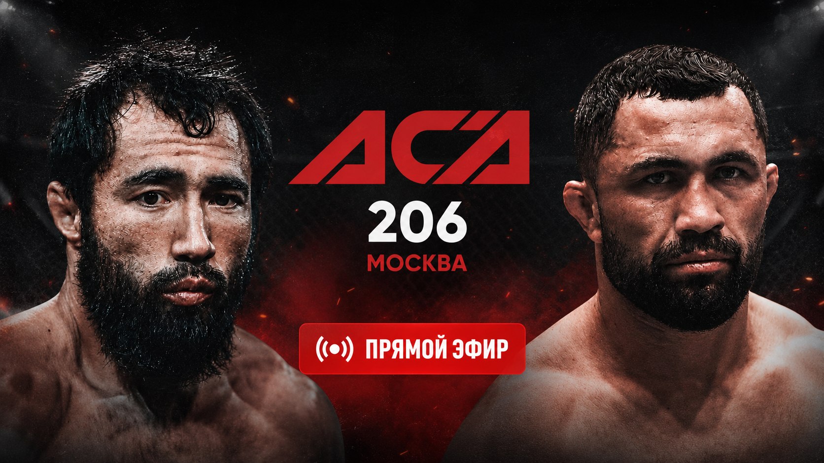 UFC LIVE 296