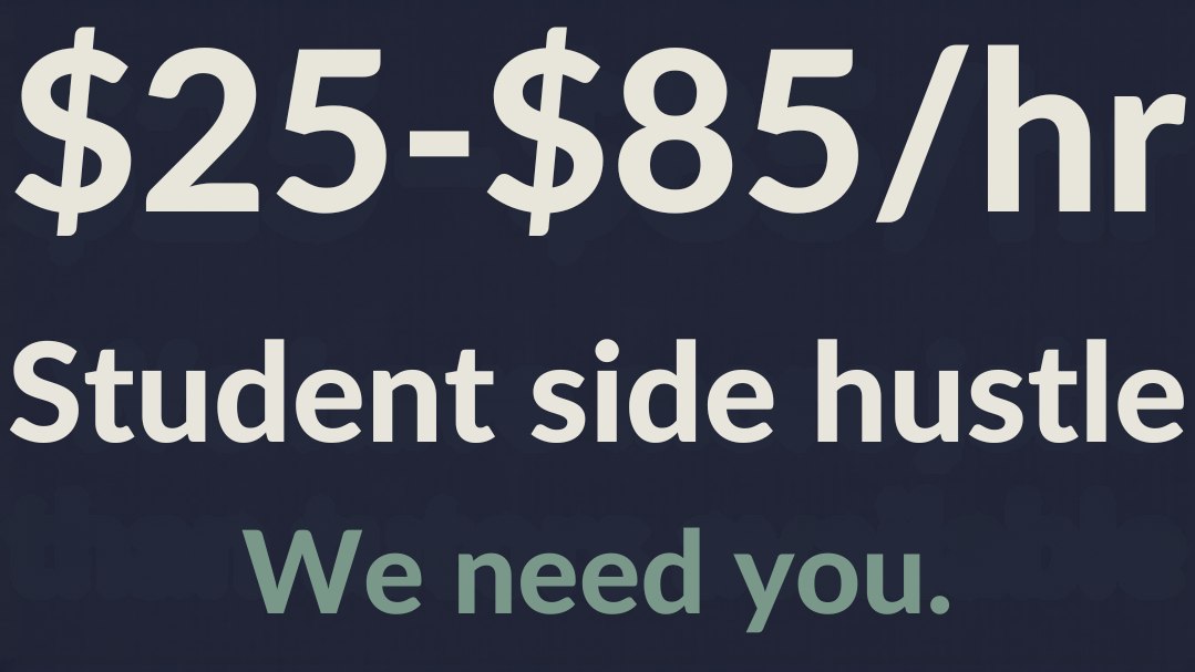 Tuition Job (LittleWiser)