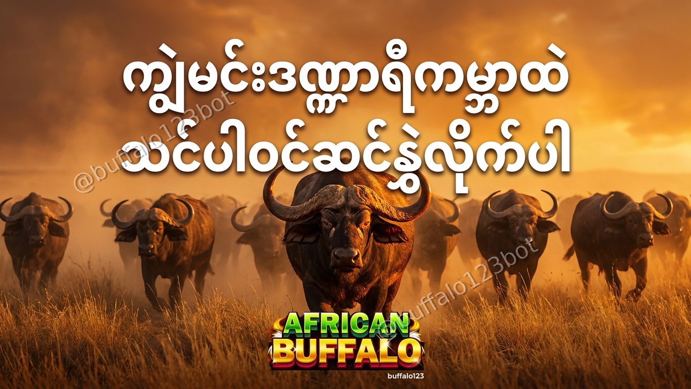 ကျွဲဂိမ်း Buffalo123 Official