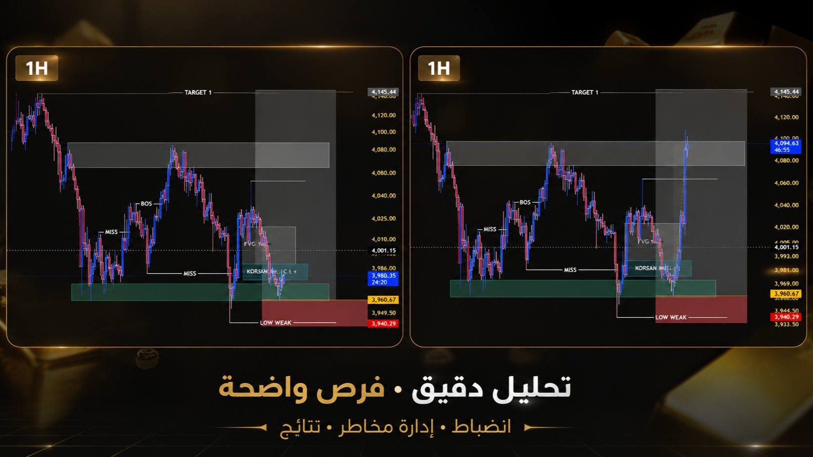 ZA3IM EL GOLD
