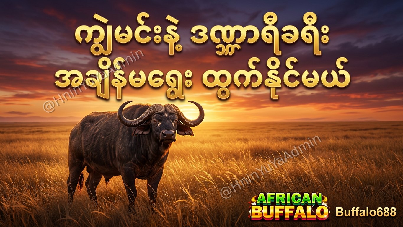 ကျွဲဂိမ်းအစစ် Buffalo688 ၊ကျွဲဘုရင် ၊ရှမ်းကိုးမီး၊ဘူကြီး