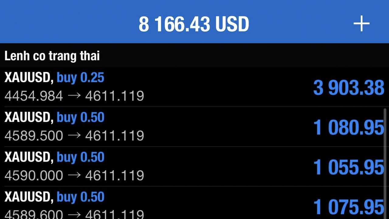 Masher Forex Trading
