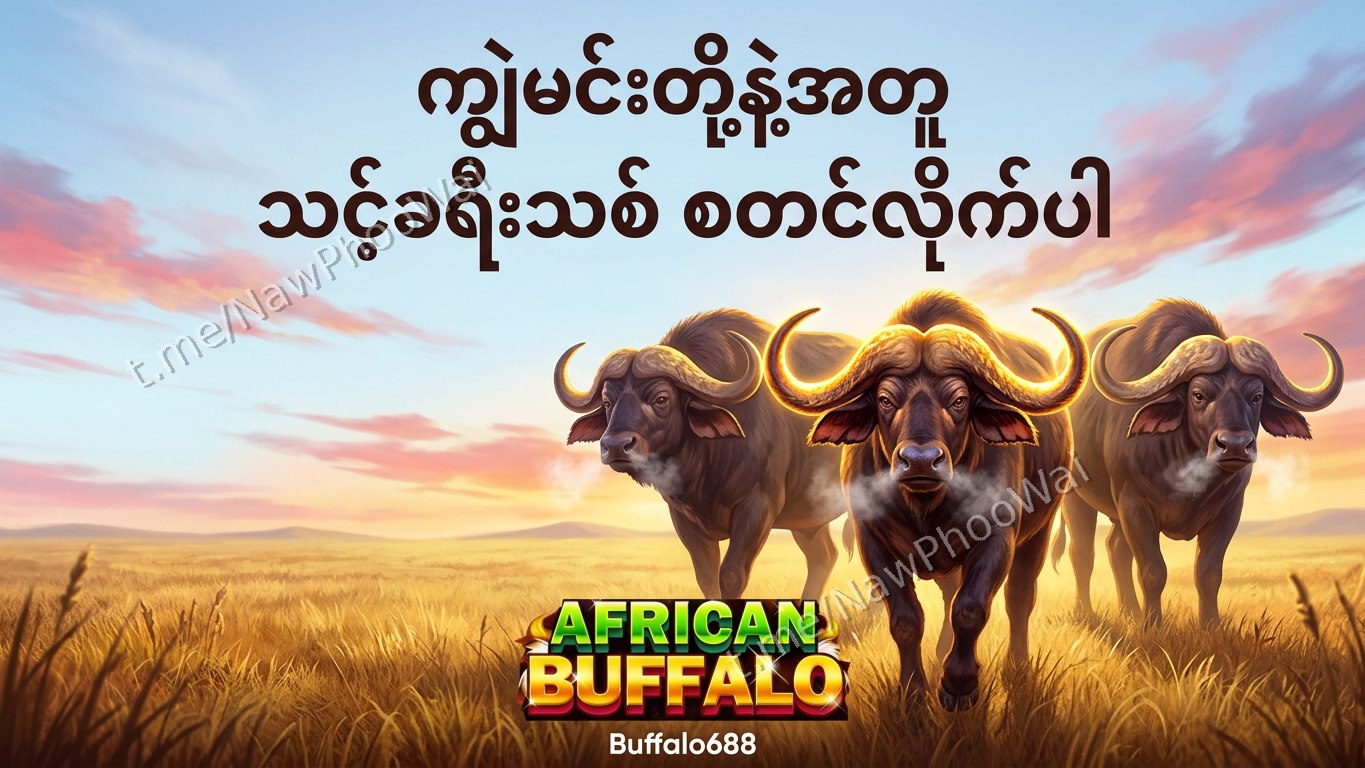 ⏰ ကျွဲဂိမ်း - နော်ဖူးဝေ 24 နာရီဝန်ဆောင်မှု